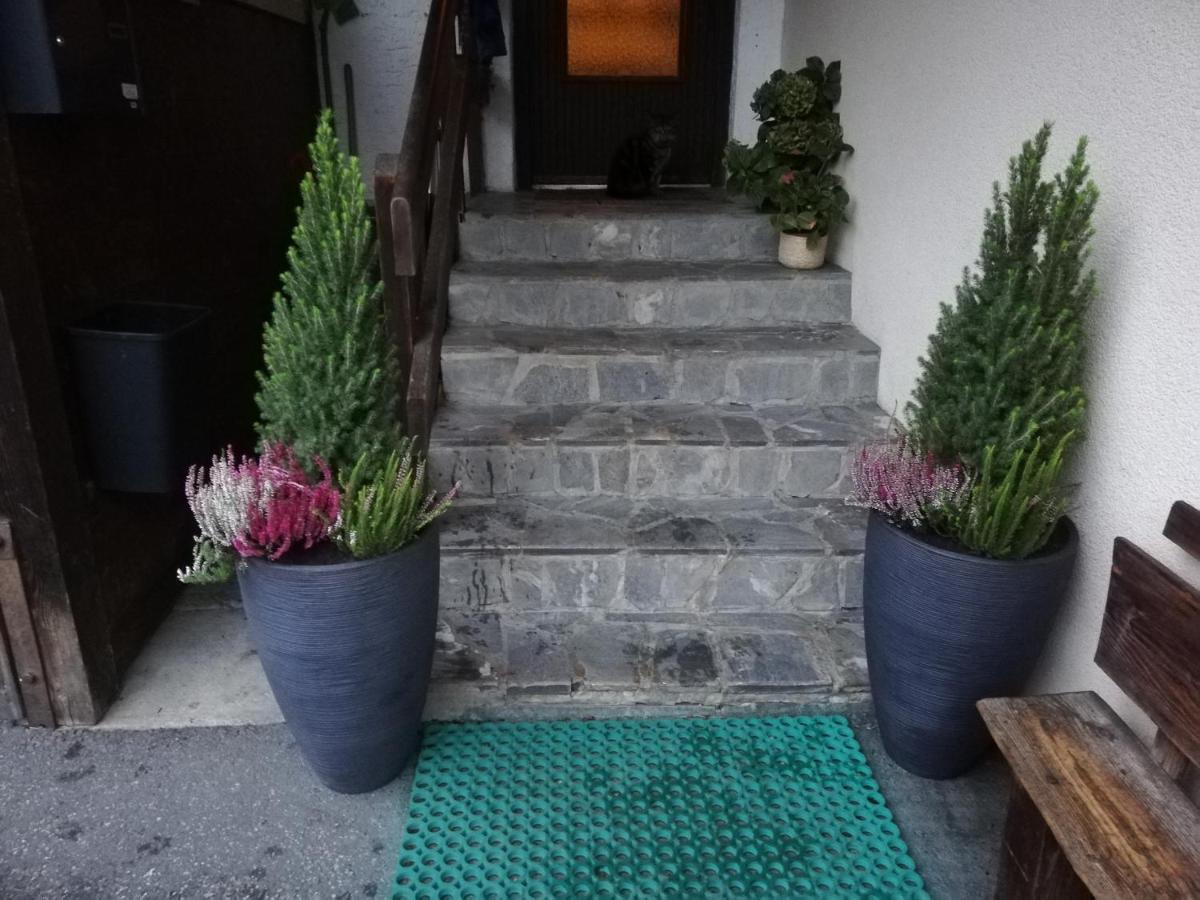 Lainer Apartment Rauris